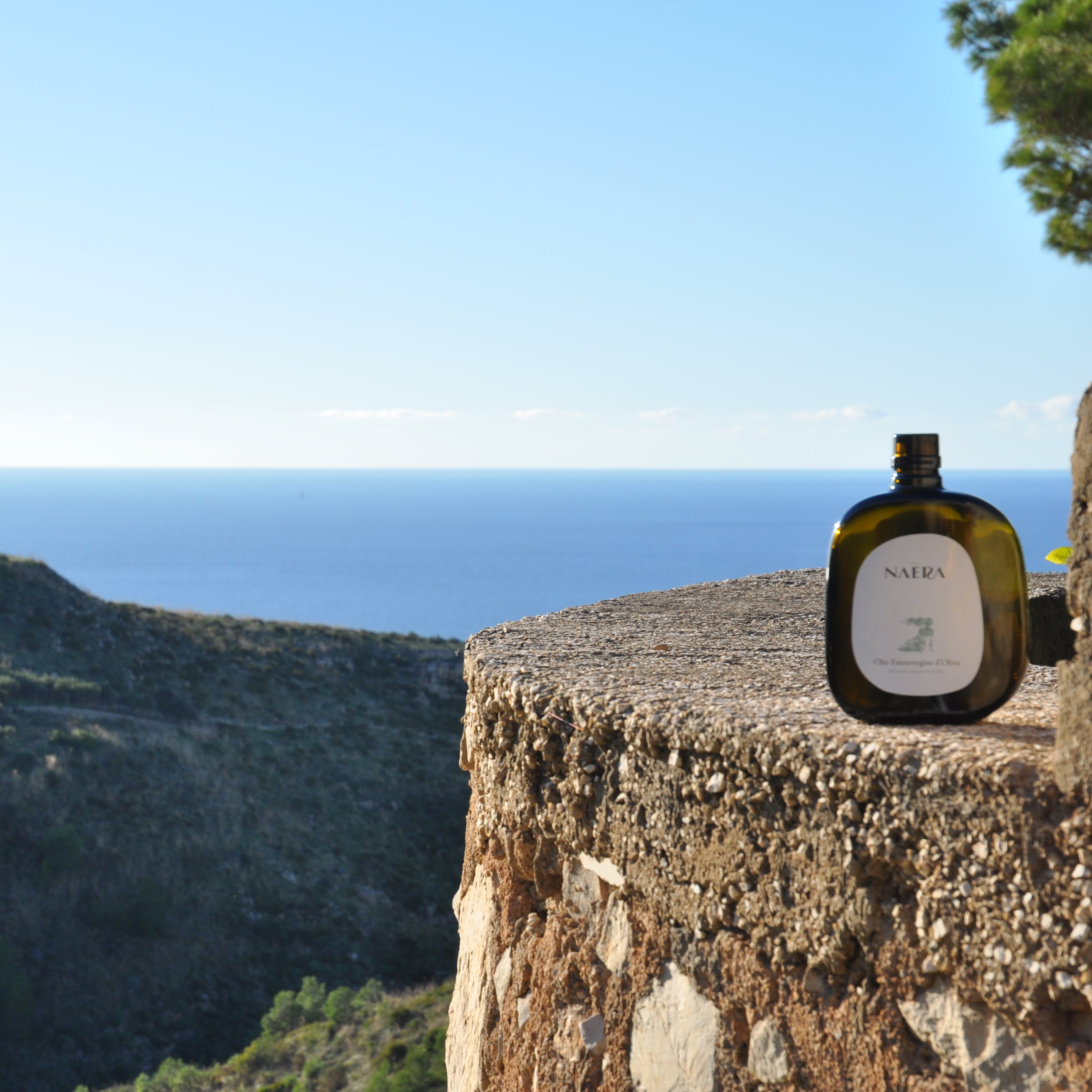 Single Bottle Extra Virgin Olive Oil – 500ml