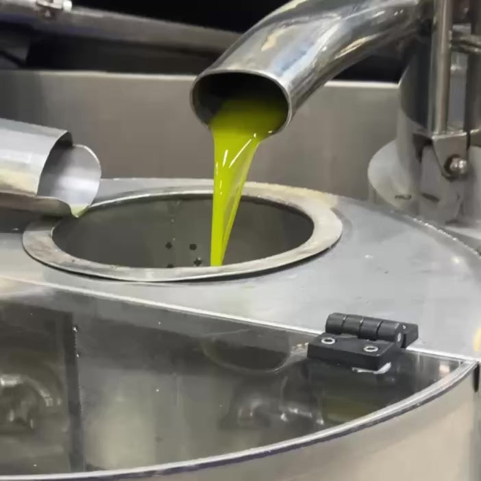 Three Bottles of Extra Virgin Olive Oil - Free Shipping